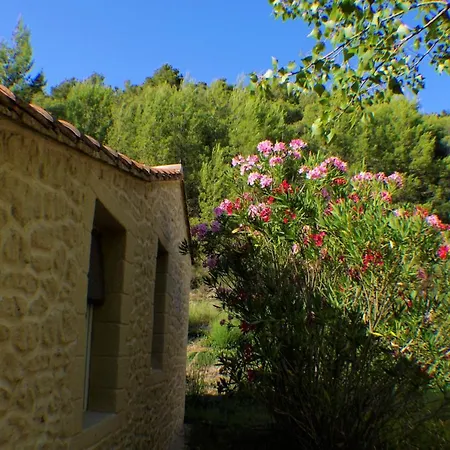 Domaine De Bois Joli