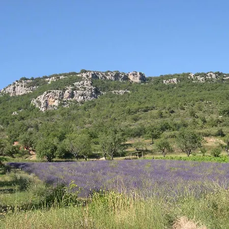 Domaine De Bois Joli